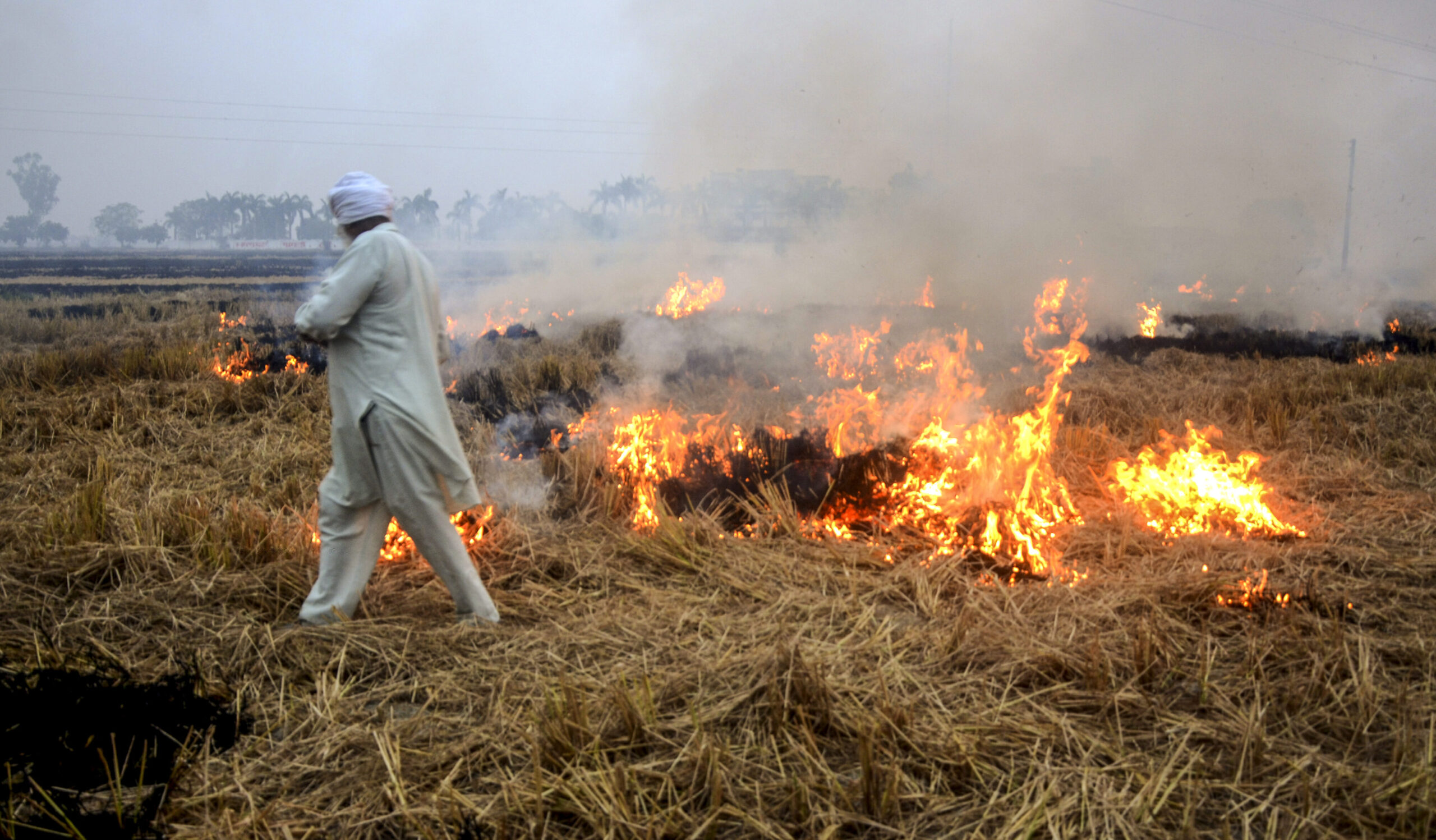 Haryana on High Alert:  Summer Fires Spur Statewide Fire Safety Drill