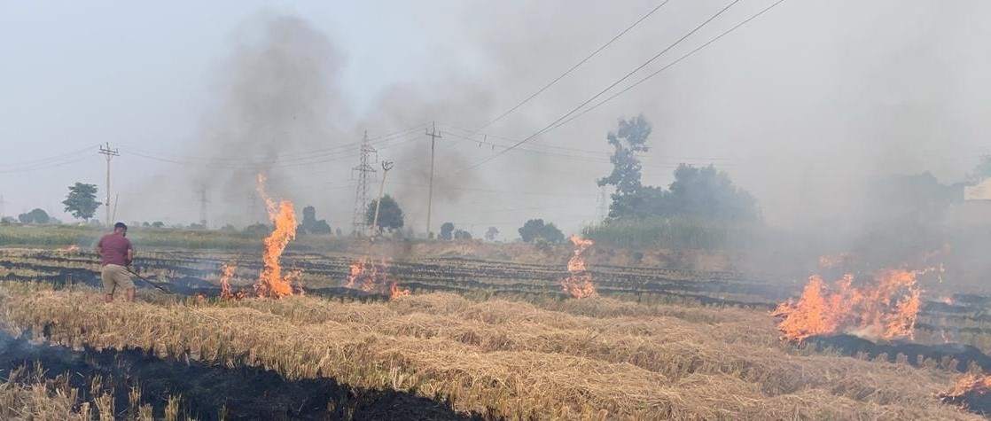 Punjab comes up with Rs 500-cr action plan to curb farm fires