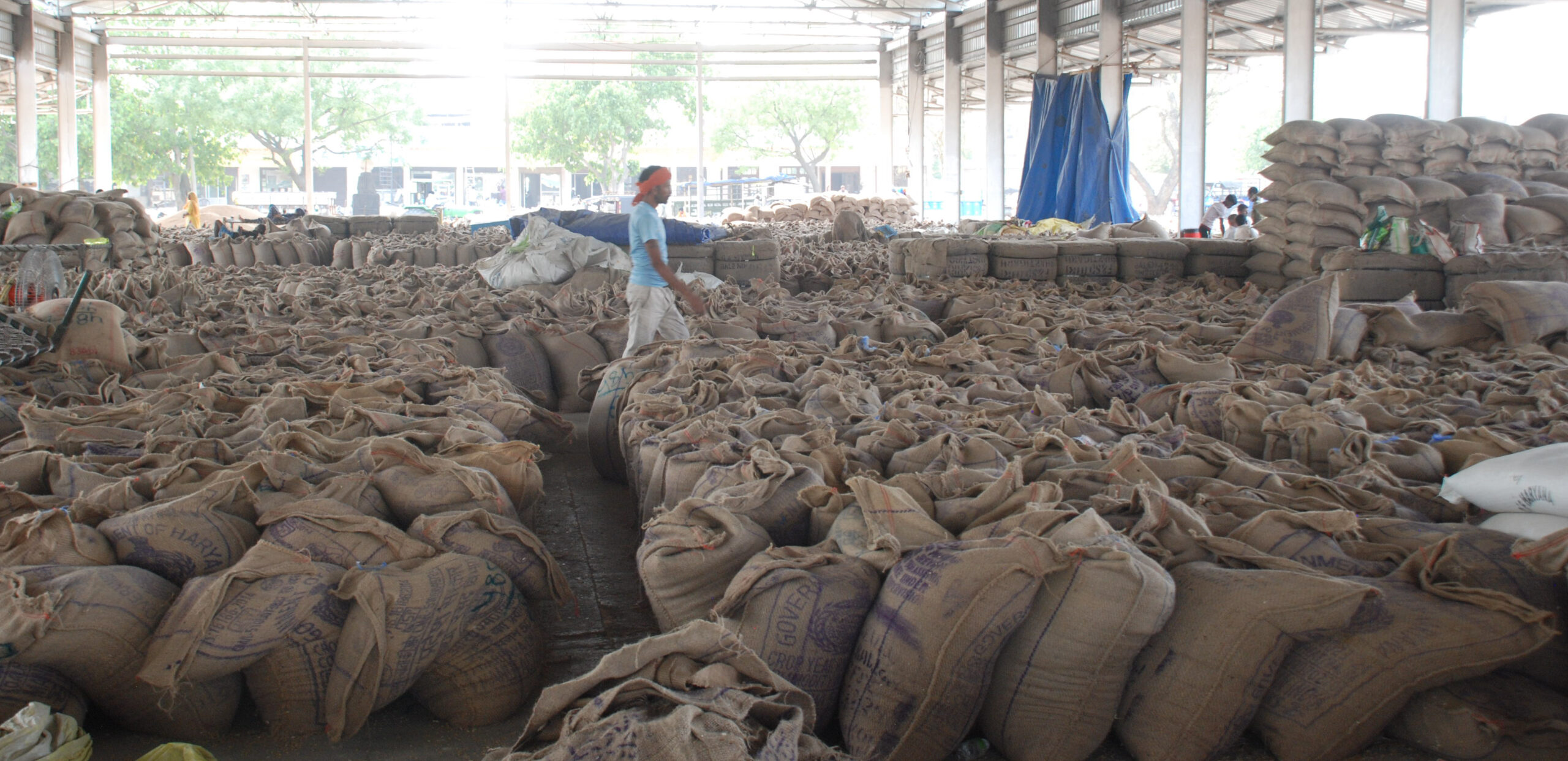 Wheat Weigh-In Row:  District Admin Cracks Down on Market Irregularities
