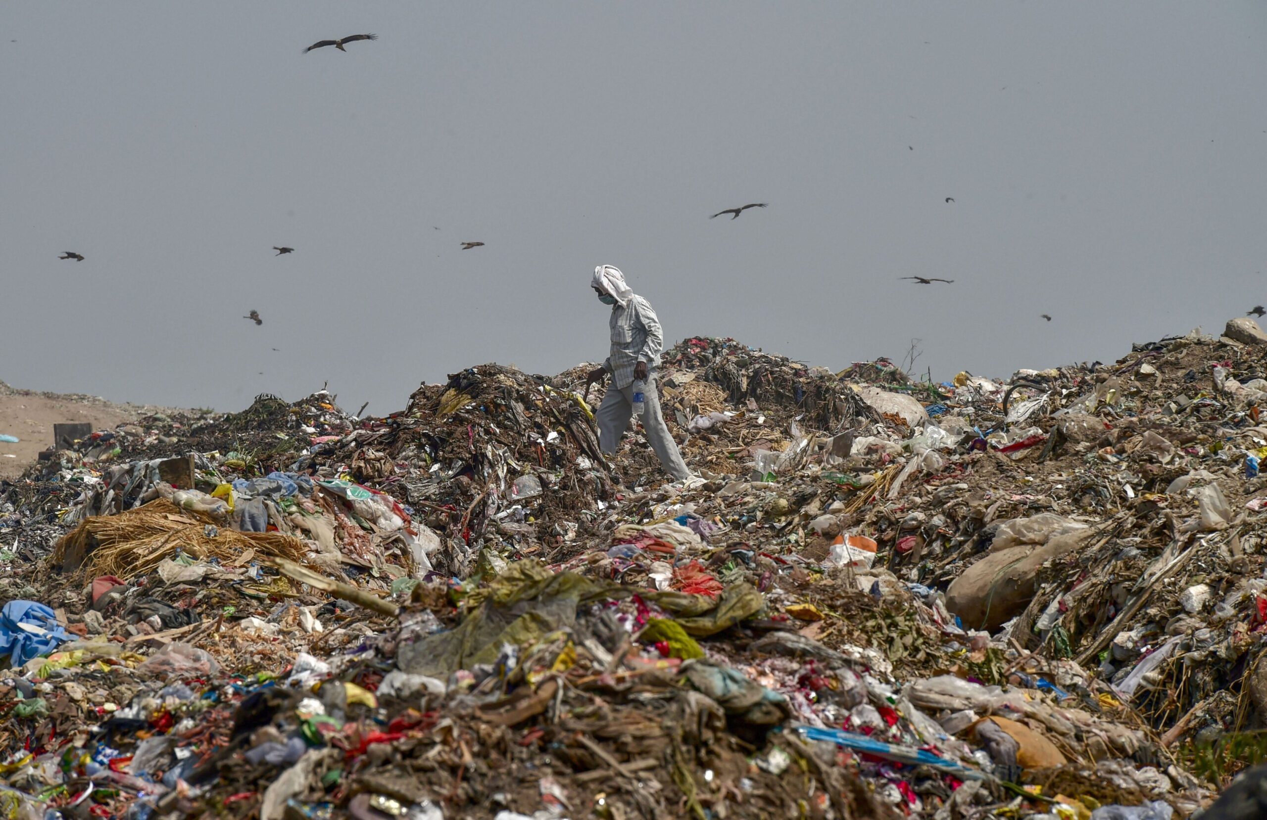 Ghazipur dumpsite clean-up bid: Delhi MC invites bids to set up waste-to-energy facility