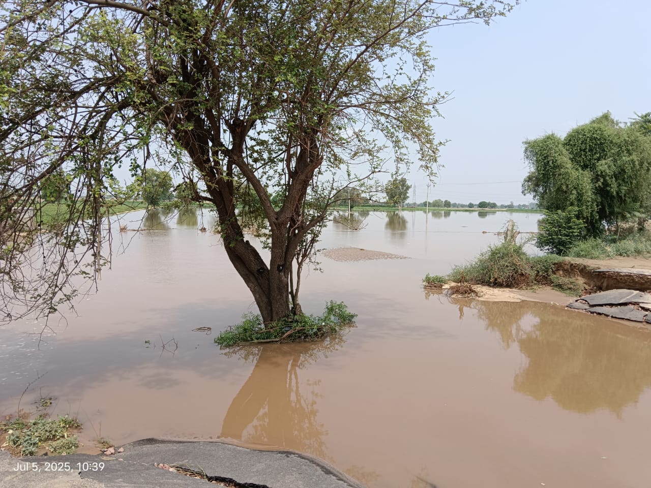 Ghaggar Floods Expose Canal Blunders: Farmers Fight to Save Crops