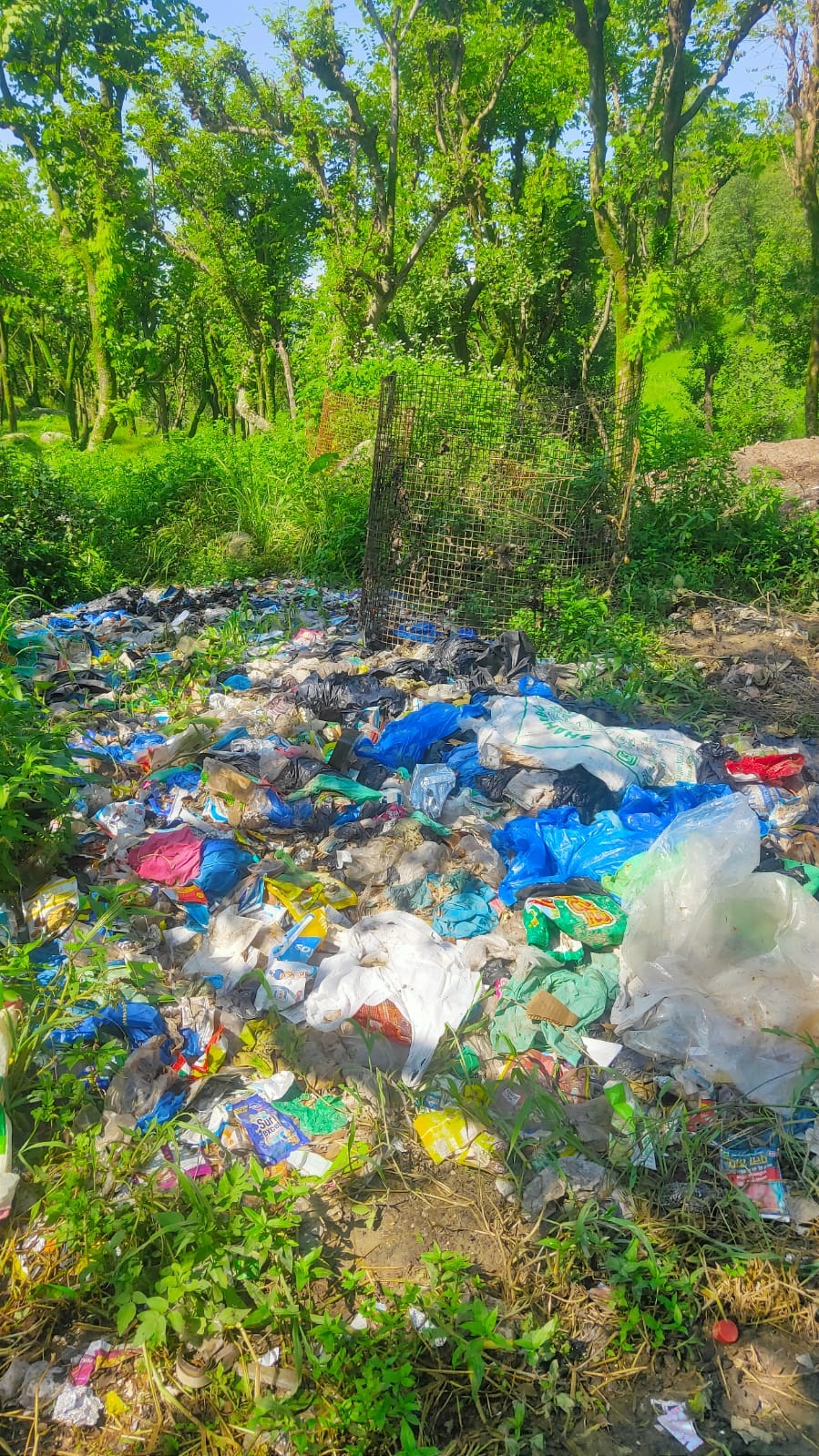 Bir-Billing's Paragliding Paradise Choking on Trash: NGT Directive Ignored