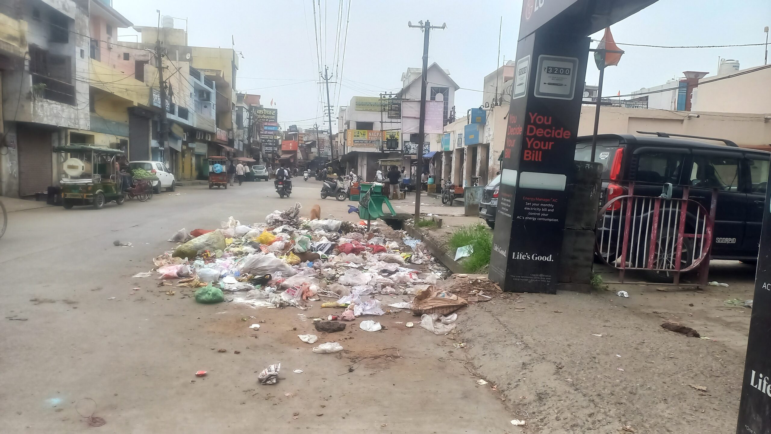 Cattle swap fodder for household waste on streets of Yamunanagar