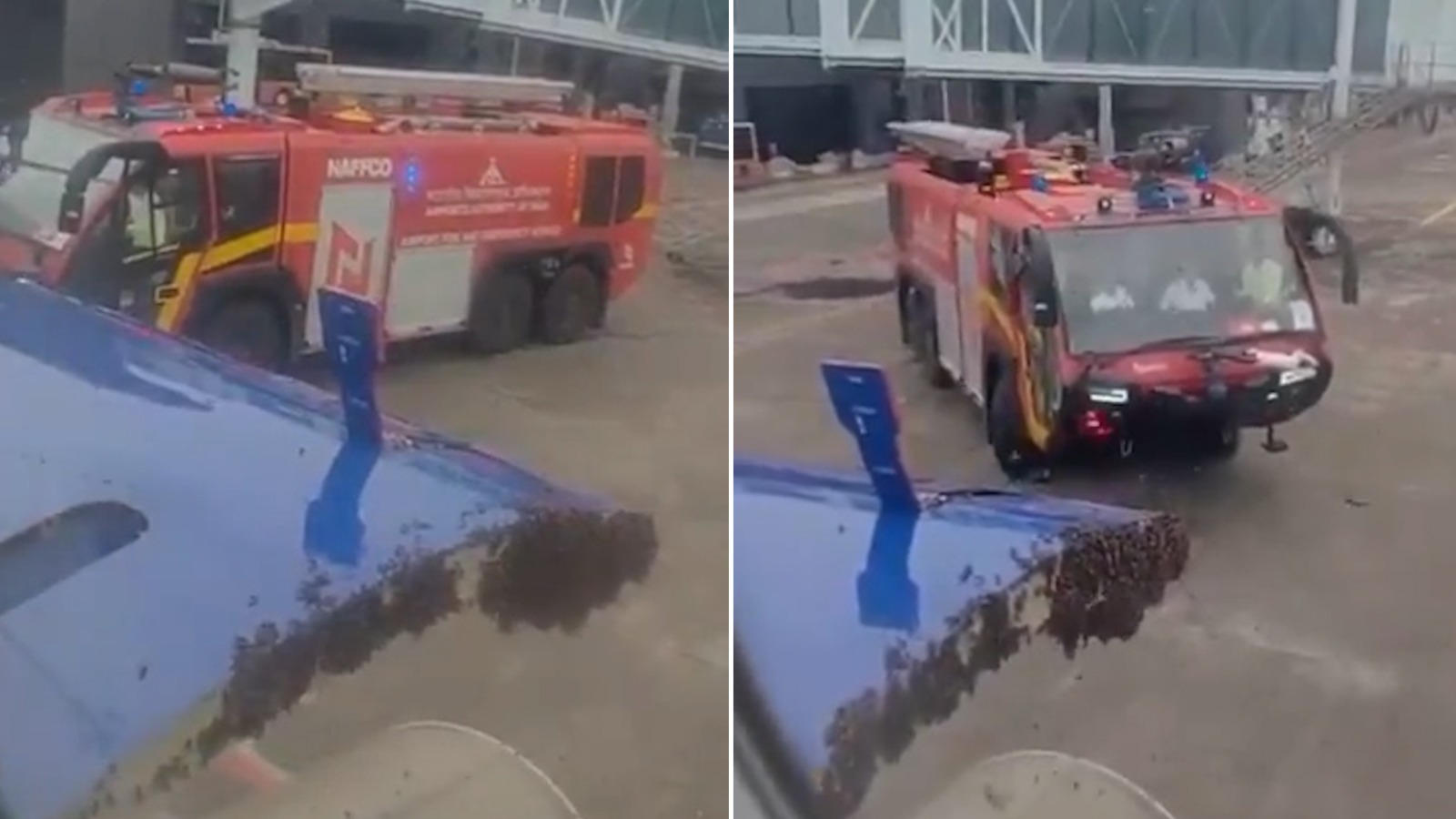 Bee Swarm Grounds IndiGo Flight: Jaipur Trip Delayed