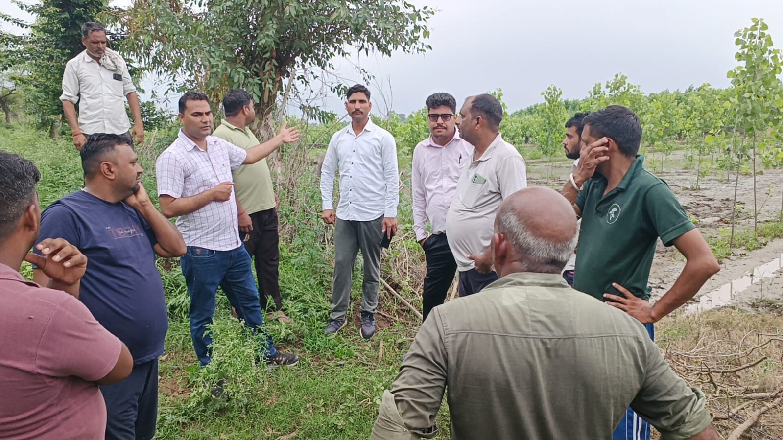 Wild elephants wreak havoc on crops in Yamunanagar village
