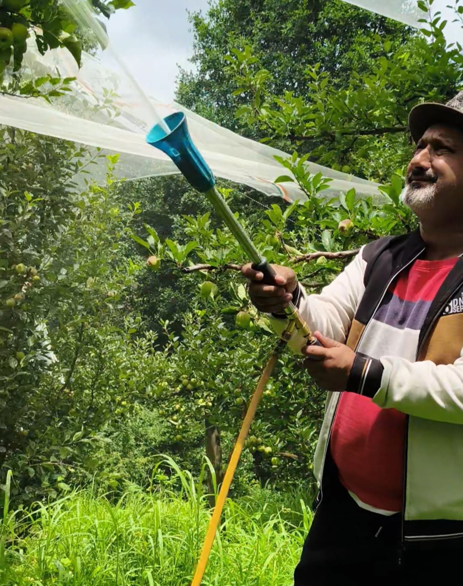 Himachal's Apple Boom Faces Bitter Harvest: Climate Change, Pests Threaten Industry