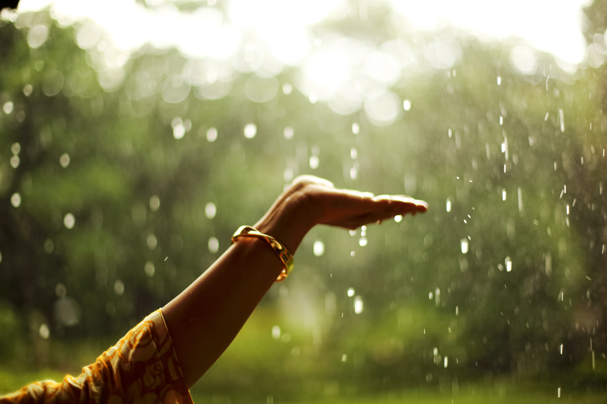 IMD's Tricity Rain Forecasts Miss the Mark; Yellow Alert Issued