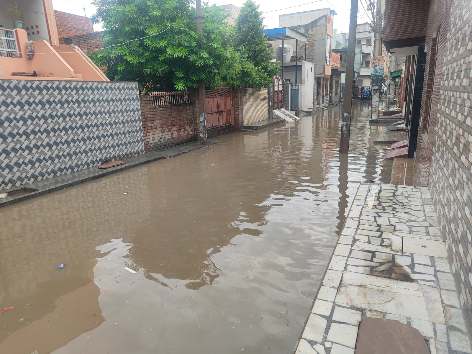 Hisar's Kunjlal Garden Drowning in Neglect: Water Woes Plague Residents