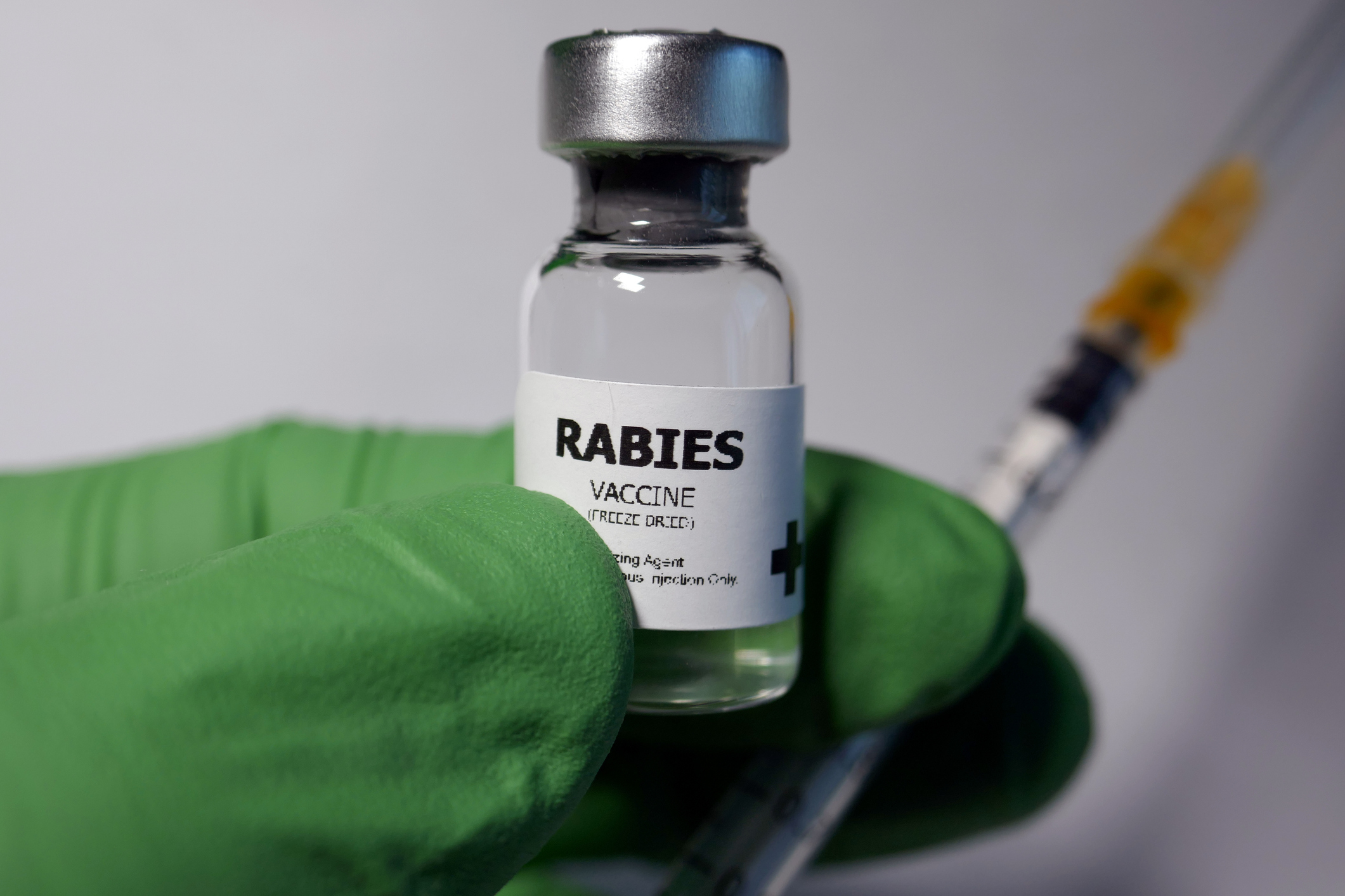 India aims to eliminate rabies by 2030: Study
