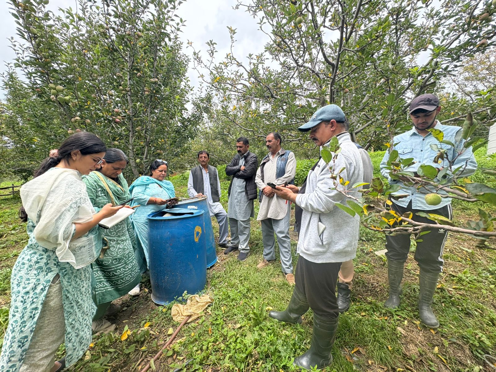 Shimla's Apple Orchards Under Threat: Disease Outbreak Prompts Urgent Action