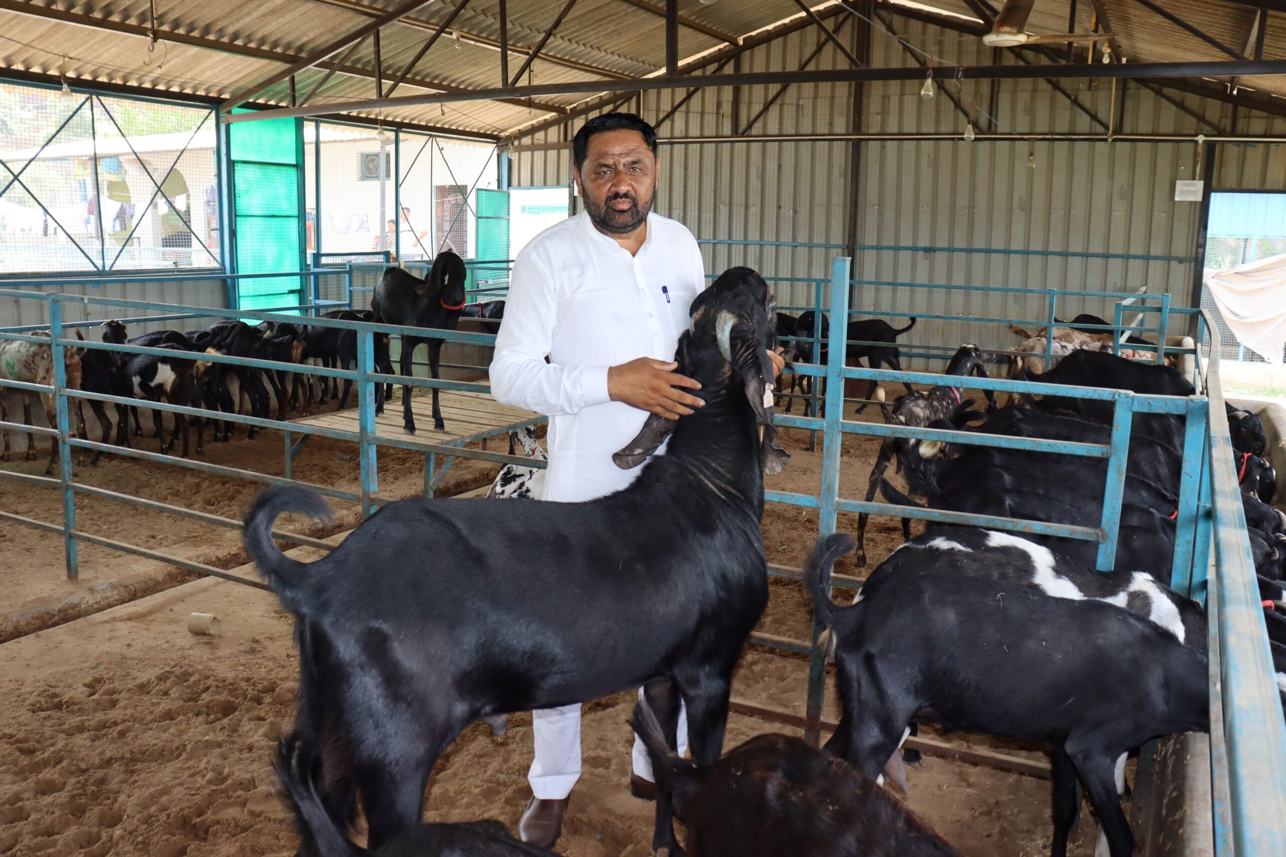 From Fish Ponds to Fortune: Himachal Farmer's Success Story