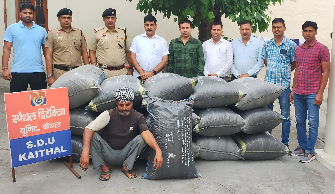 Drug Bust in Haryana: 242 Kg Doda Post Seized, One Arrested