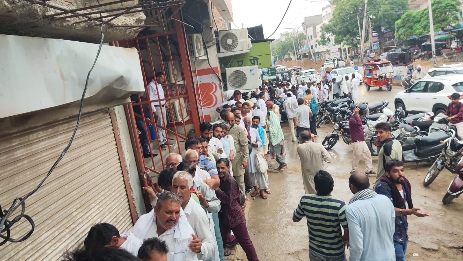 Sirsa Cotton Crisis: DAP Shortage Sparks Farmer Fury