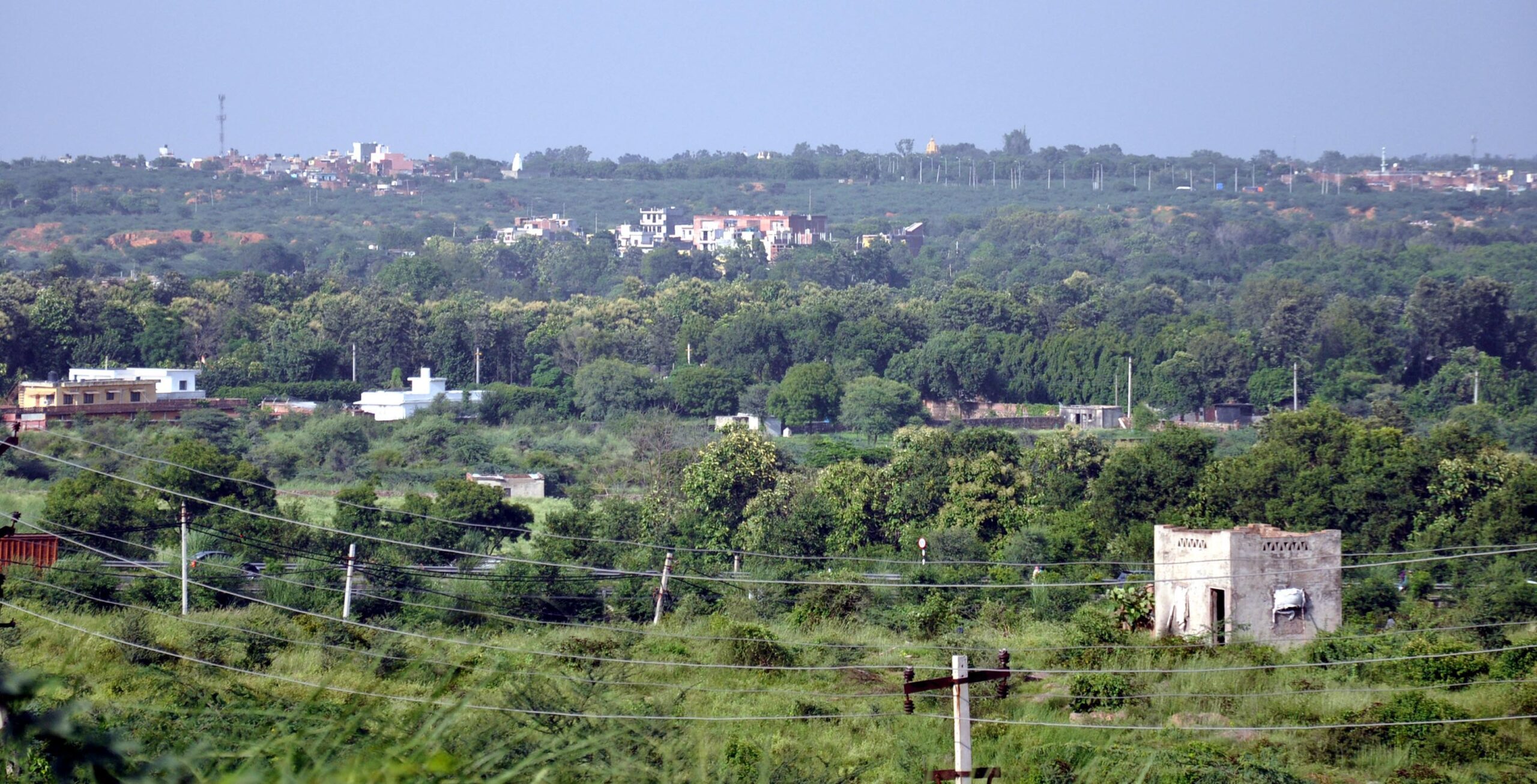 ESZ Rules Get a Local Makeover: Balancing Green Goals with Growth