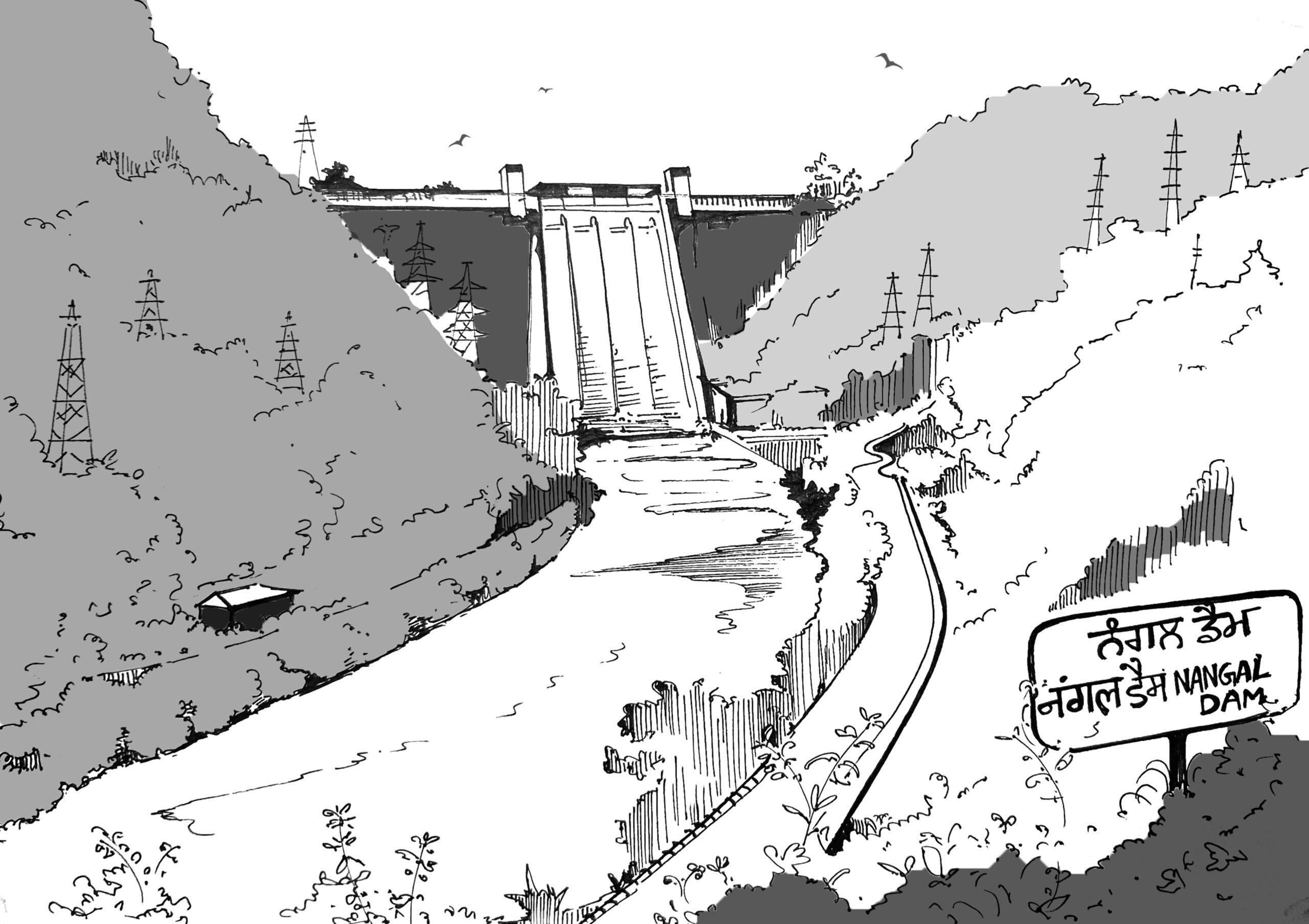 Naya Nangal's Accidental Star: A Small Town's Big Misunderstanding