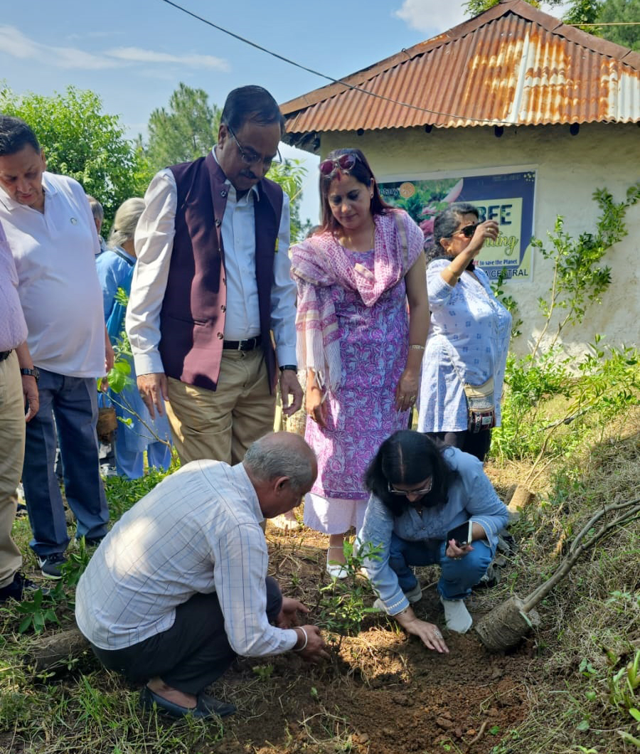 Green Thumbs in Dharamsala: 100 Fruit Trees Symbolize Rural Revival