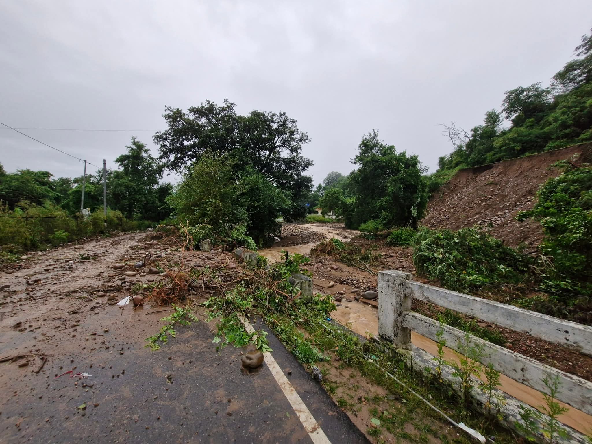 Relentless rains cripple life in Palampur region