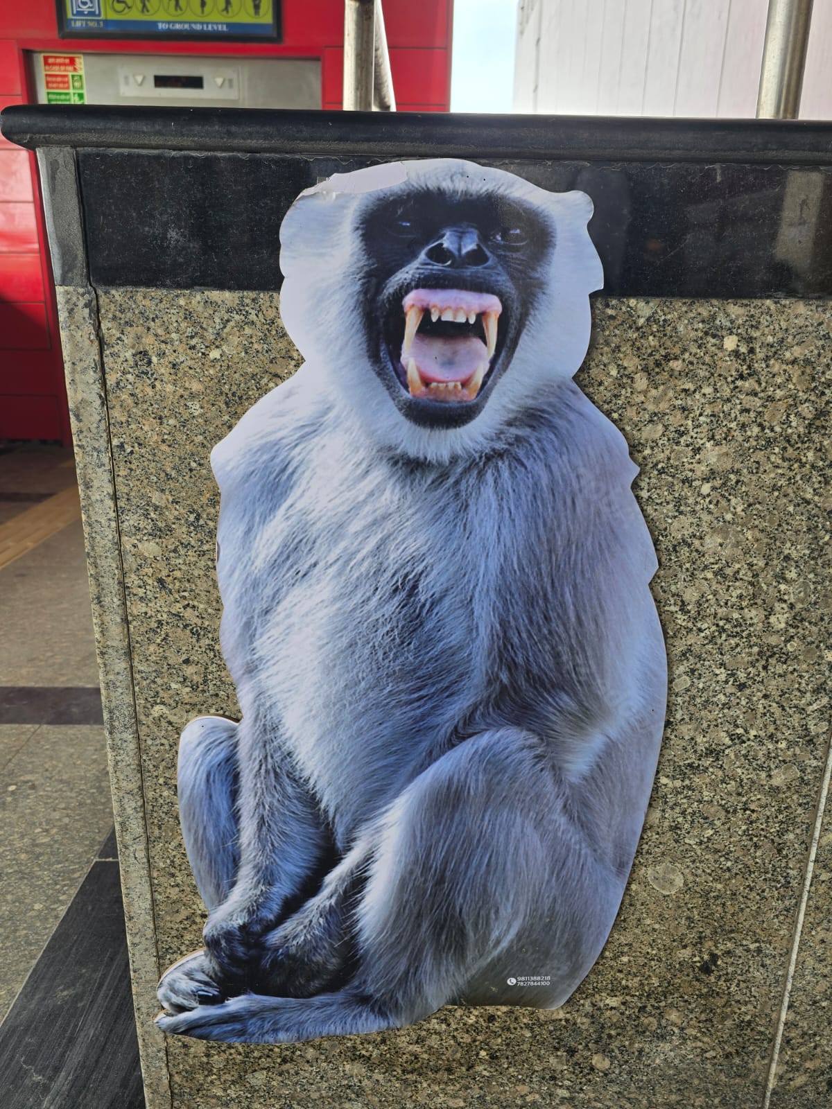 No monkey business! Langur cutouts guard metro stations in Bahadurgarh