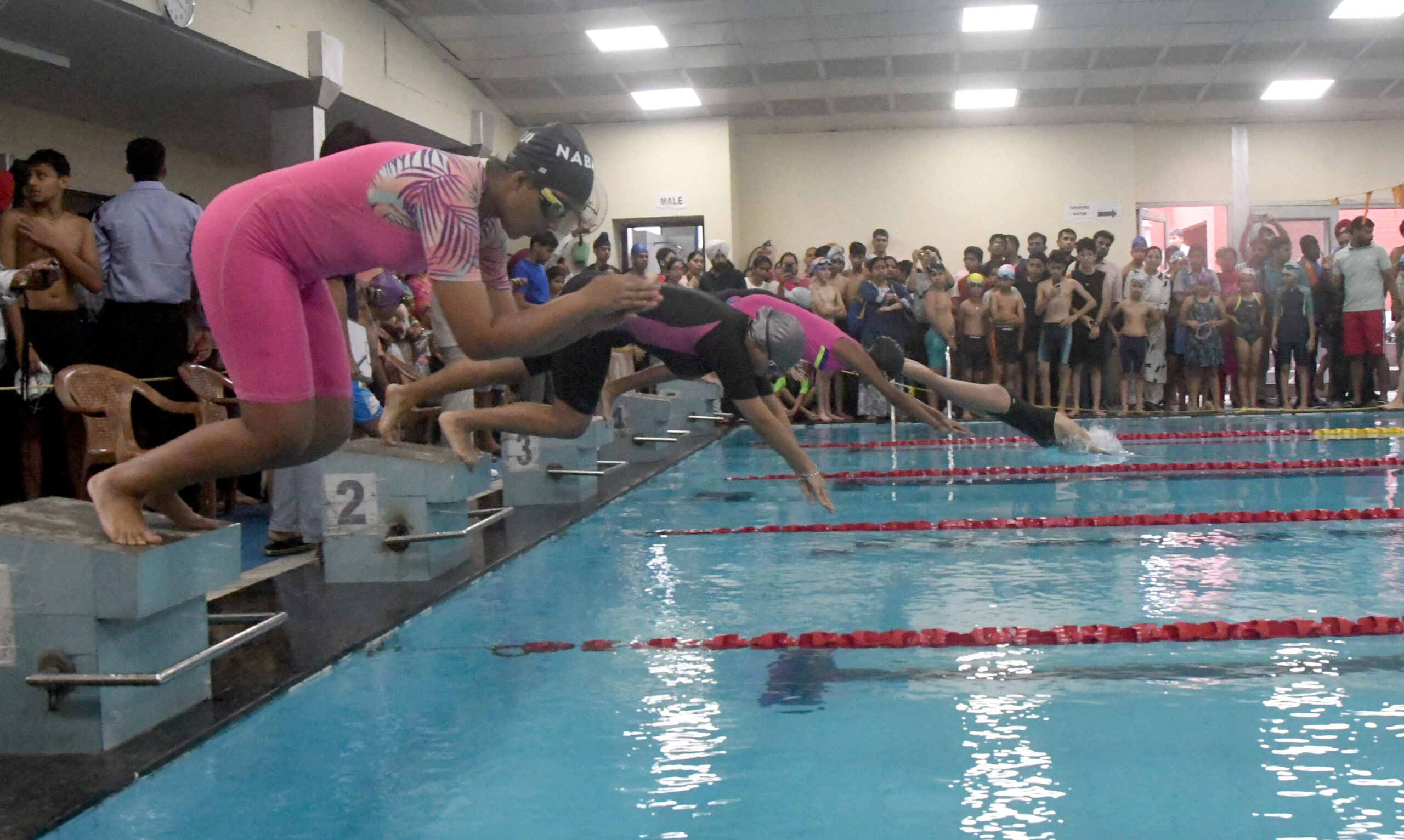 Young Guns Shine at National Aquatics Meet