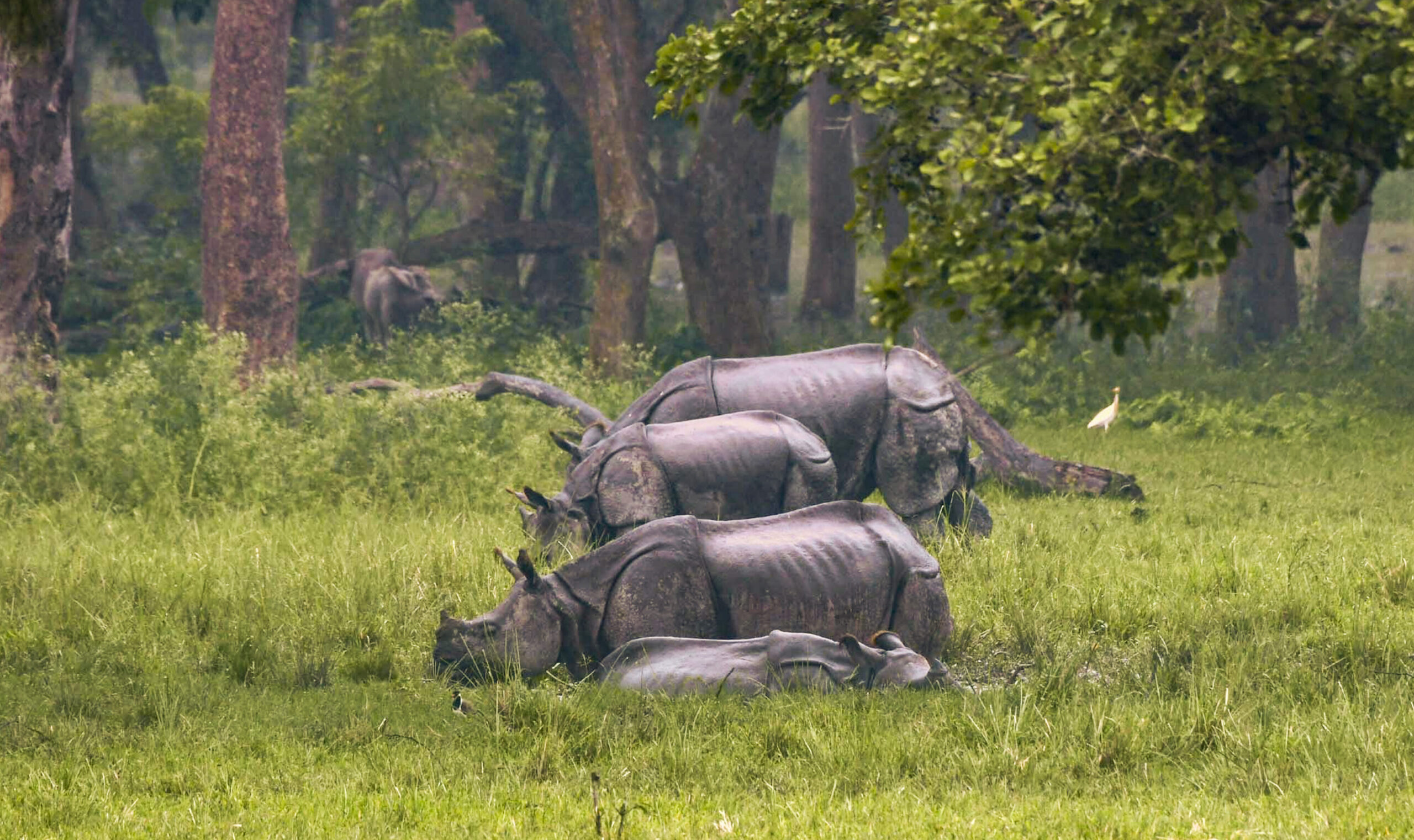 National Security Trumps Conservation: 32 Defence Projects Greenlit in Sensitive Himalayan Sanctuaries