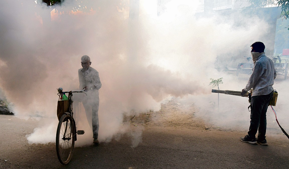 Dengue Alert! Karnal's Fogging Blitz Targets 3,891 Breeding Sites