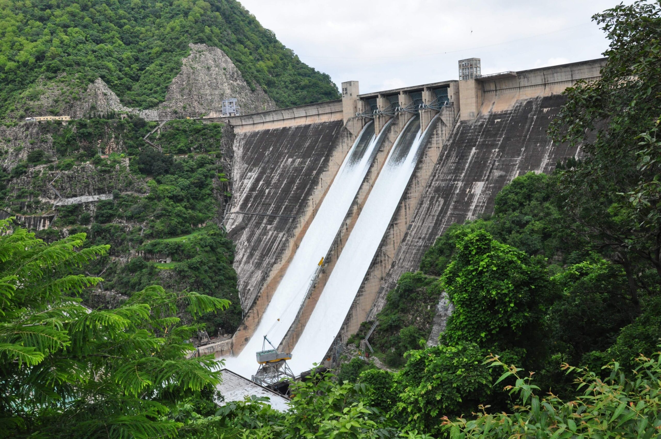 Water level in Pong Dam nears danger mark, BBMB to release 18,995 cusecs