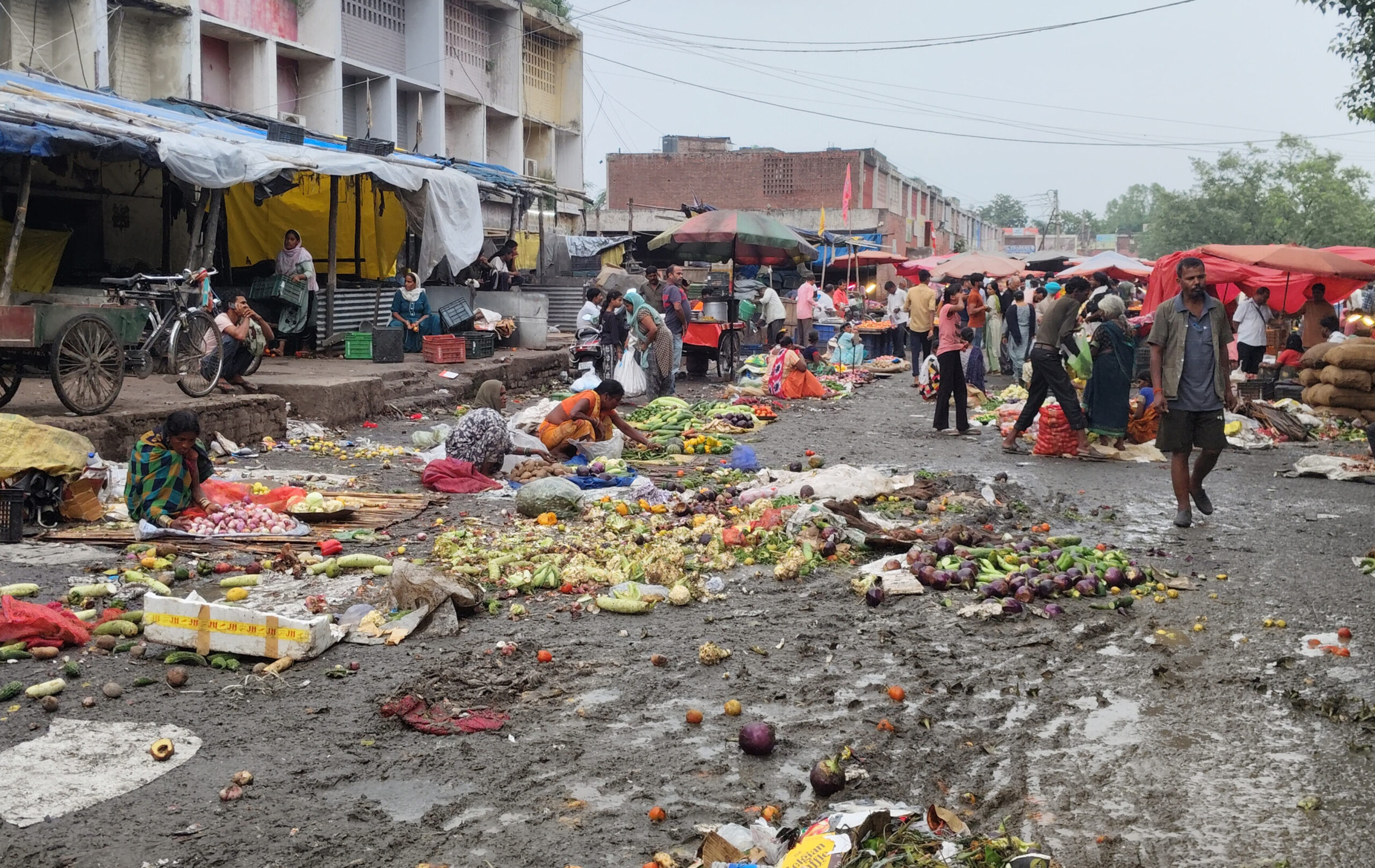HC takes suo motu notice, calls for report on Sector 26 mandi