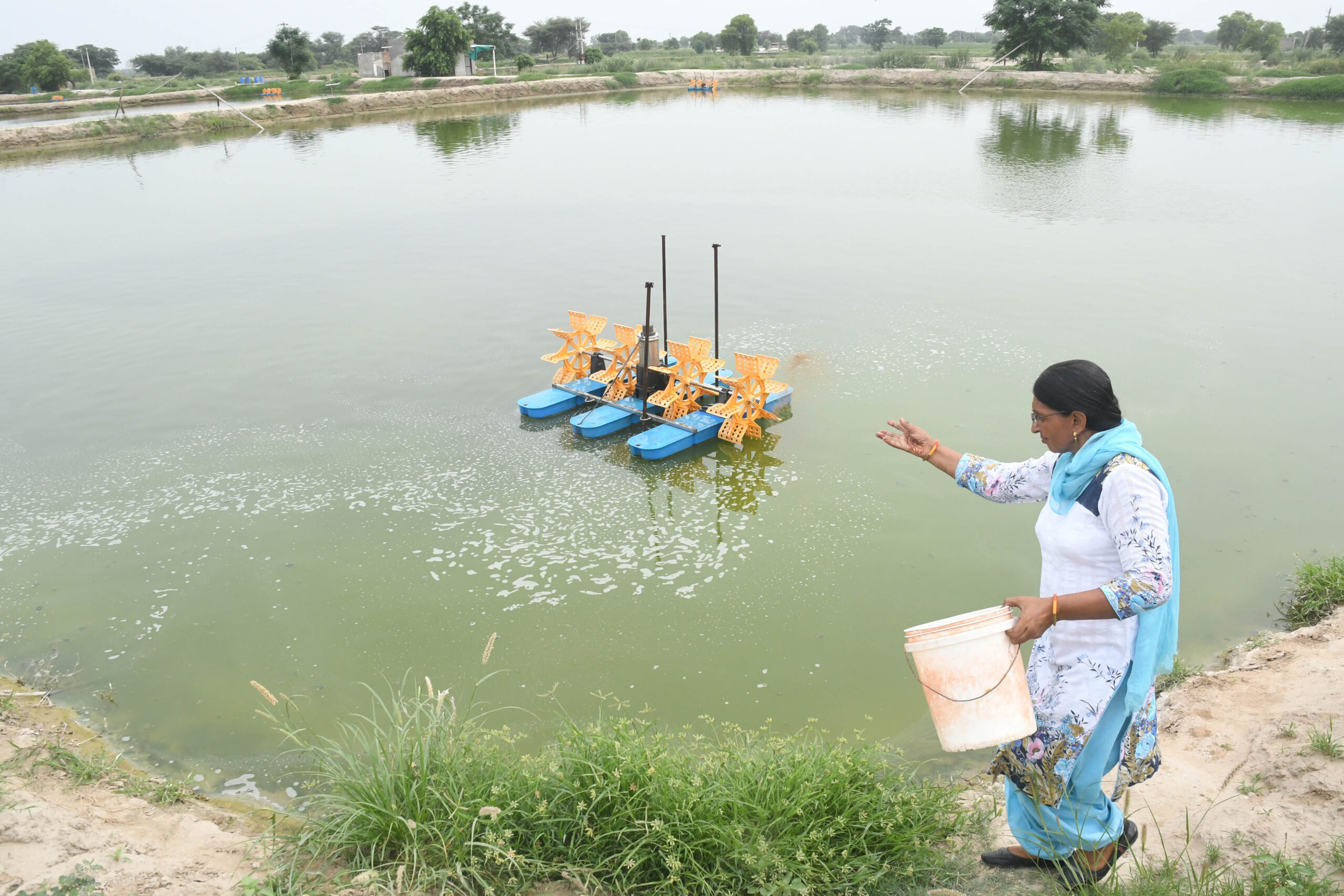 Women hold the key to Blue Revolution in Punjab…OR: State fisheries expanding big time, courtesy womenfolk