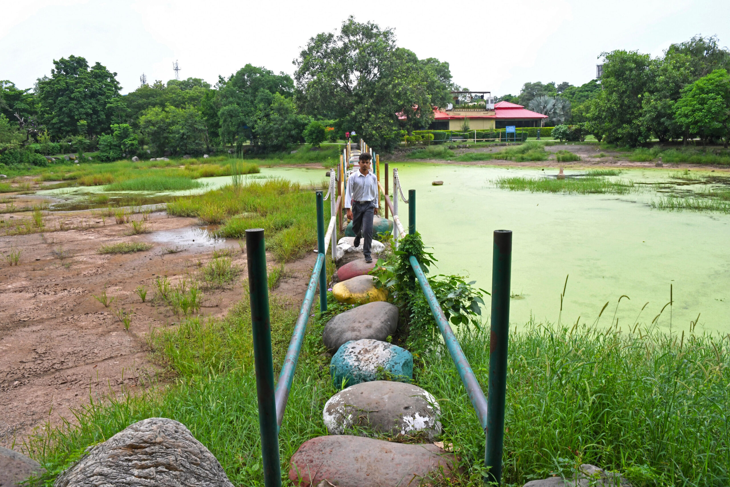Rain causes widespread waterlogging in Panchkula