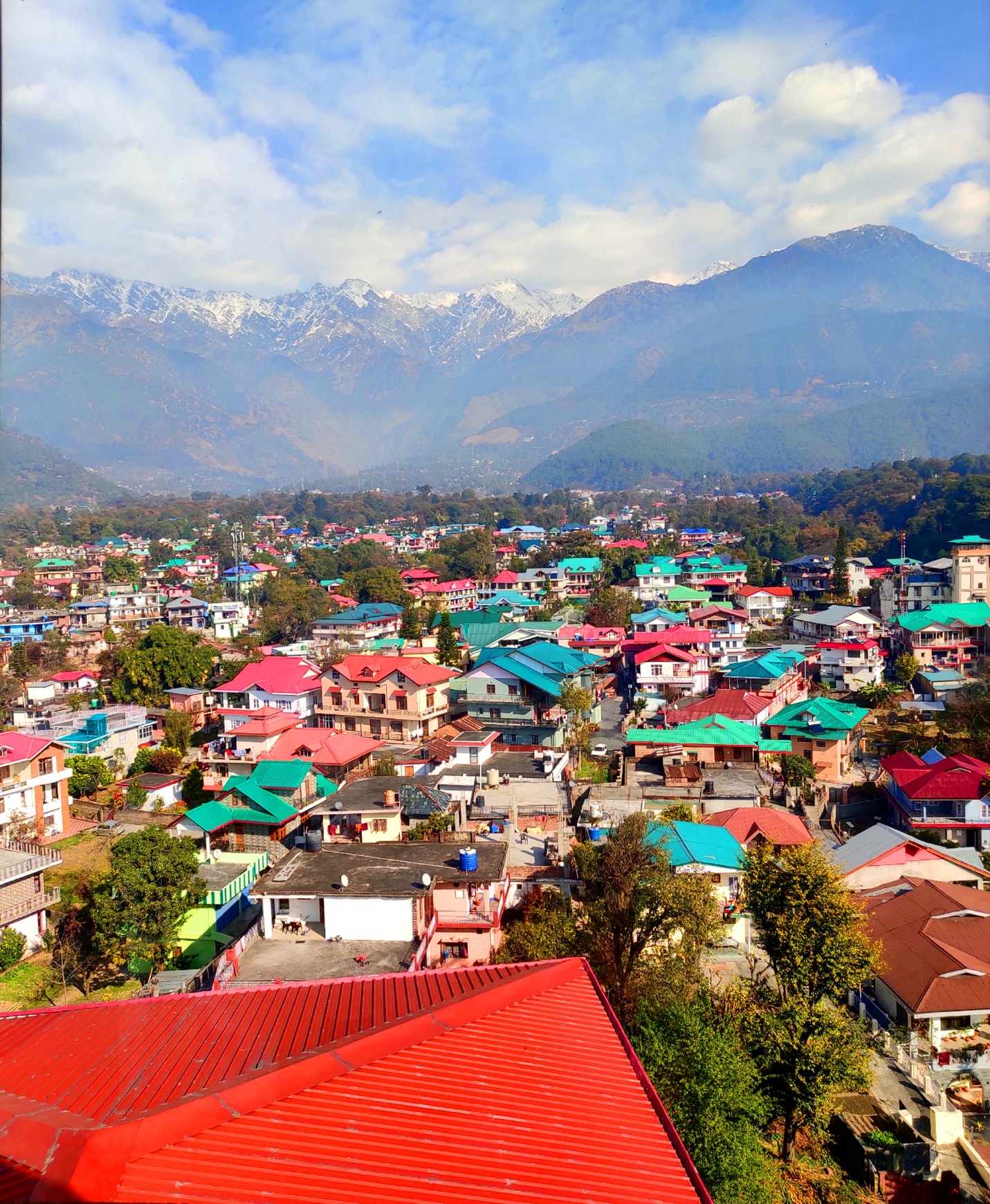 Himachal's Paradise in Peril: Palampur's Ecological Alarm Bells