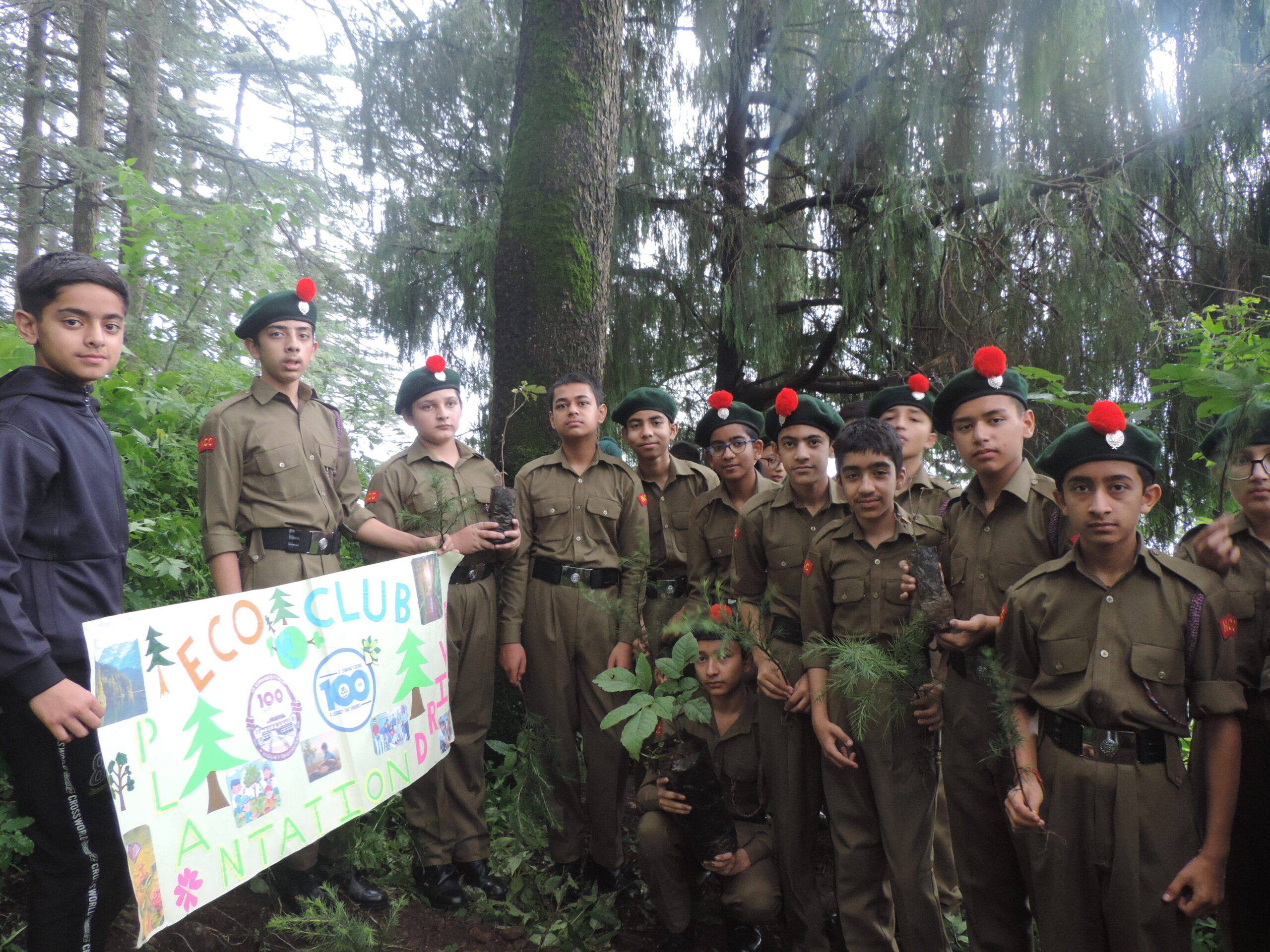 School’s tree plantation drive inspires environmental stewardship