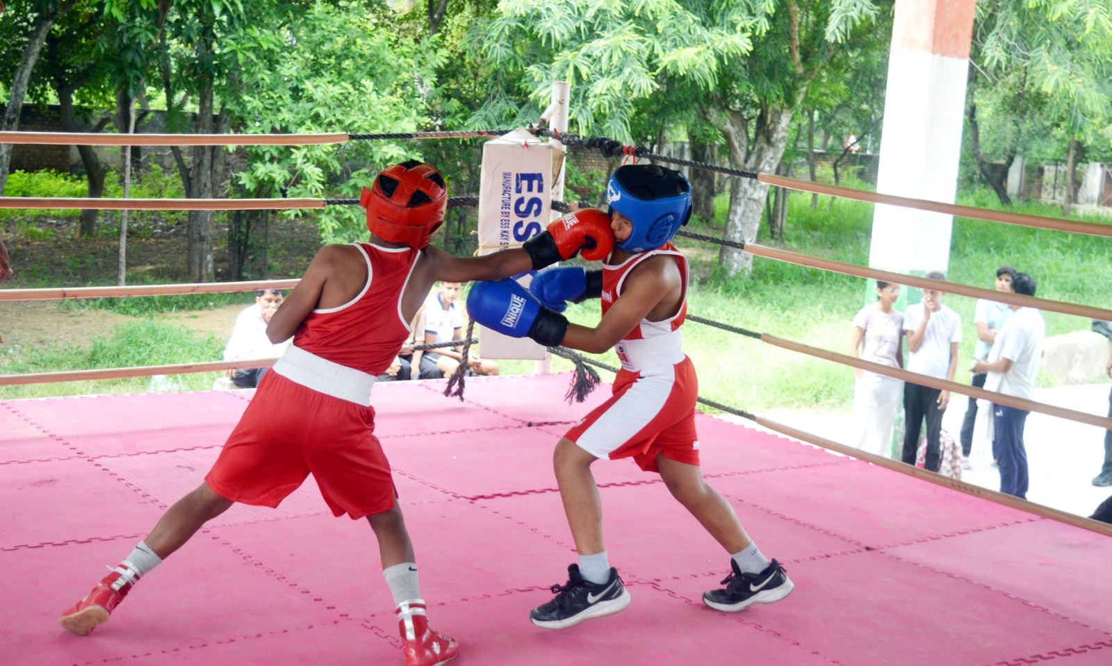 Bhiwani Boys Shine: Block-Level Sports Fest Concludes
