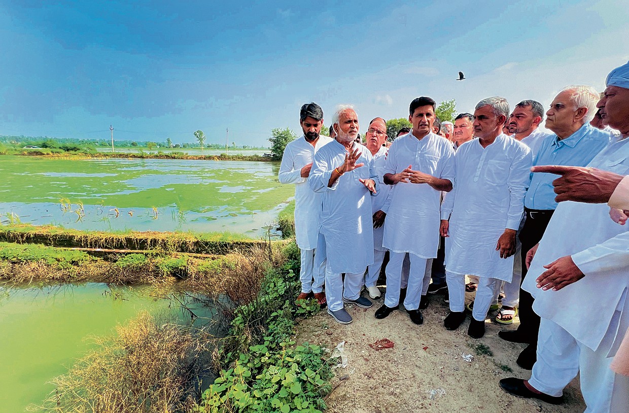 Monsoon Mayhem: Haryana Farmers Cry Foul as Floods Ravage Kharif Crops