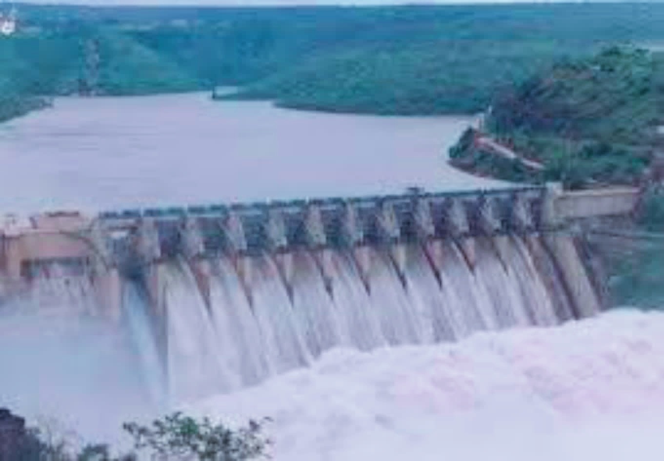 Sleepless nights: Rising Pong waters spark panic in Kangra’s Mand area
