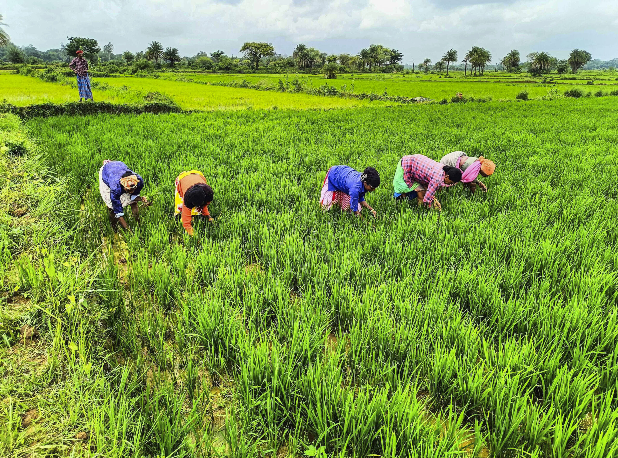 Land Grab Sparks Fury in Punjab Village