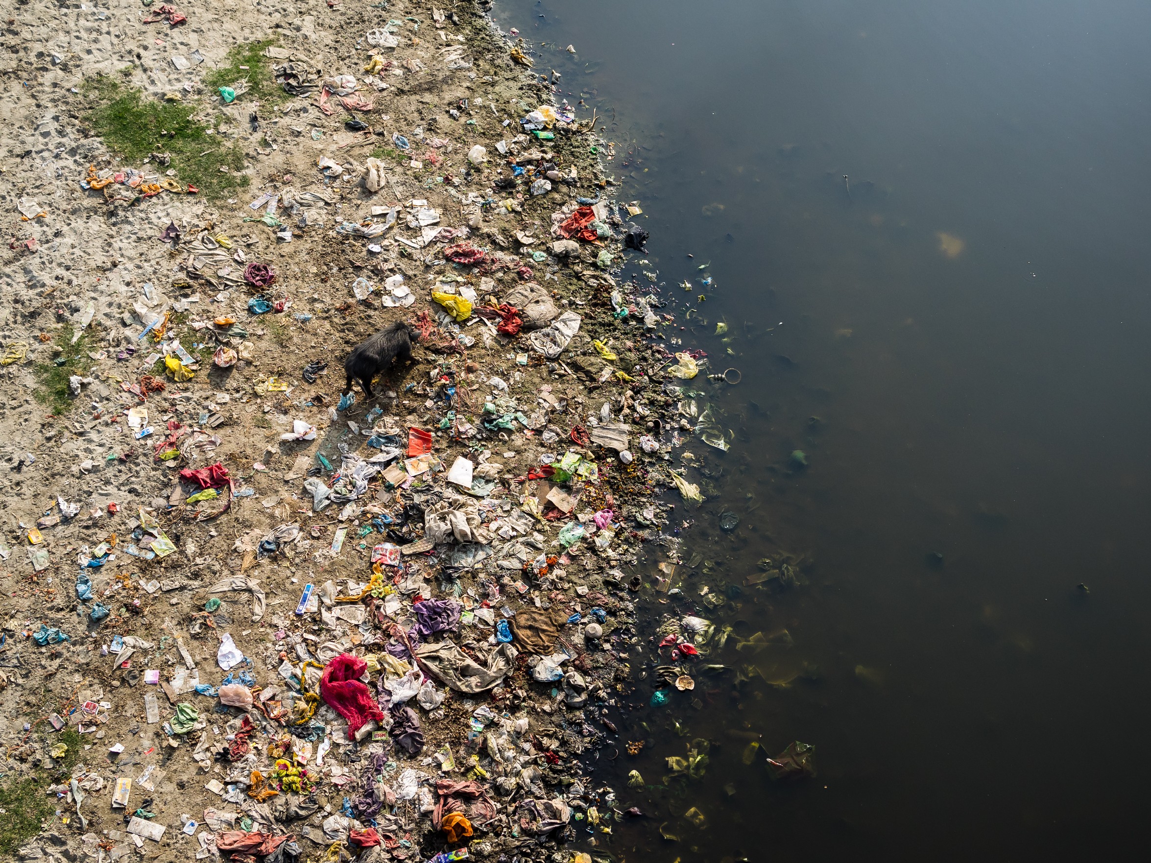 Yamuna Revival: Delhi's 3-Year Sewage Plan Targets 1.5 Million Homes