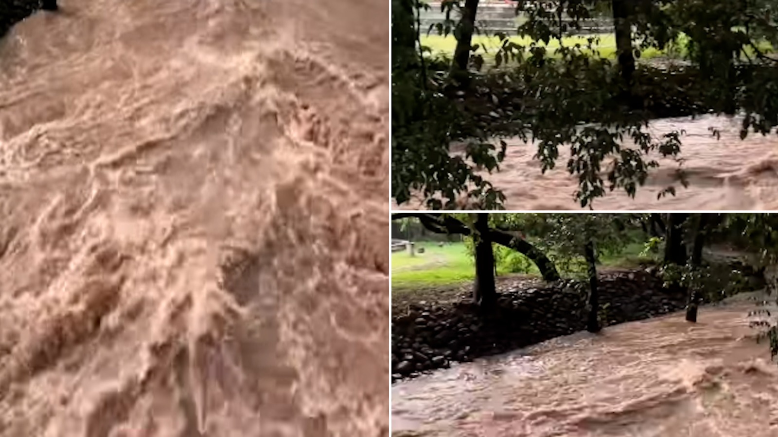 Chandigarh Choes: City's Lifeline Against Monsoon Fury