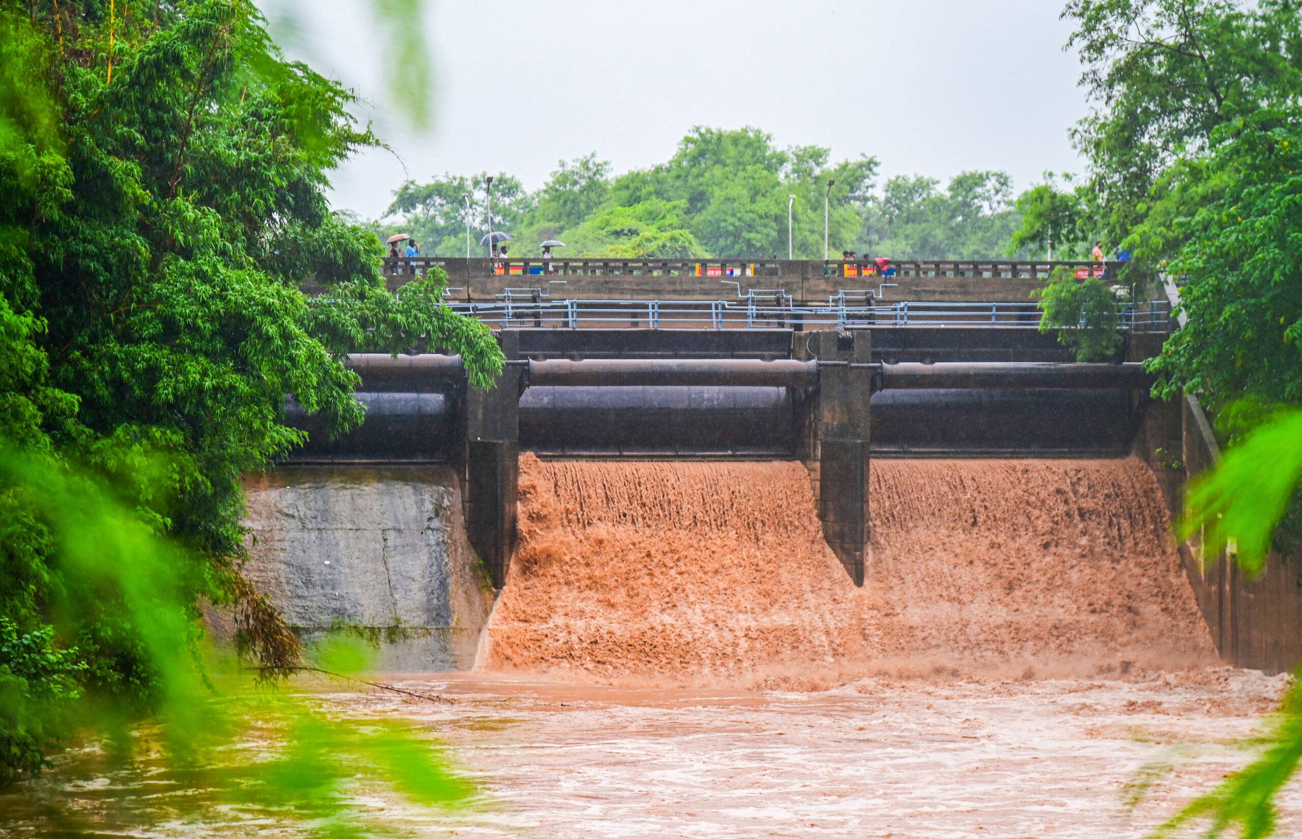 Chandigarh’s Sukhna Lake floodgates opened again; record 9th time this monsoon