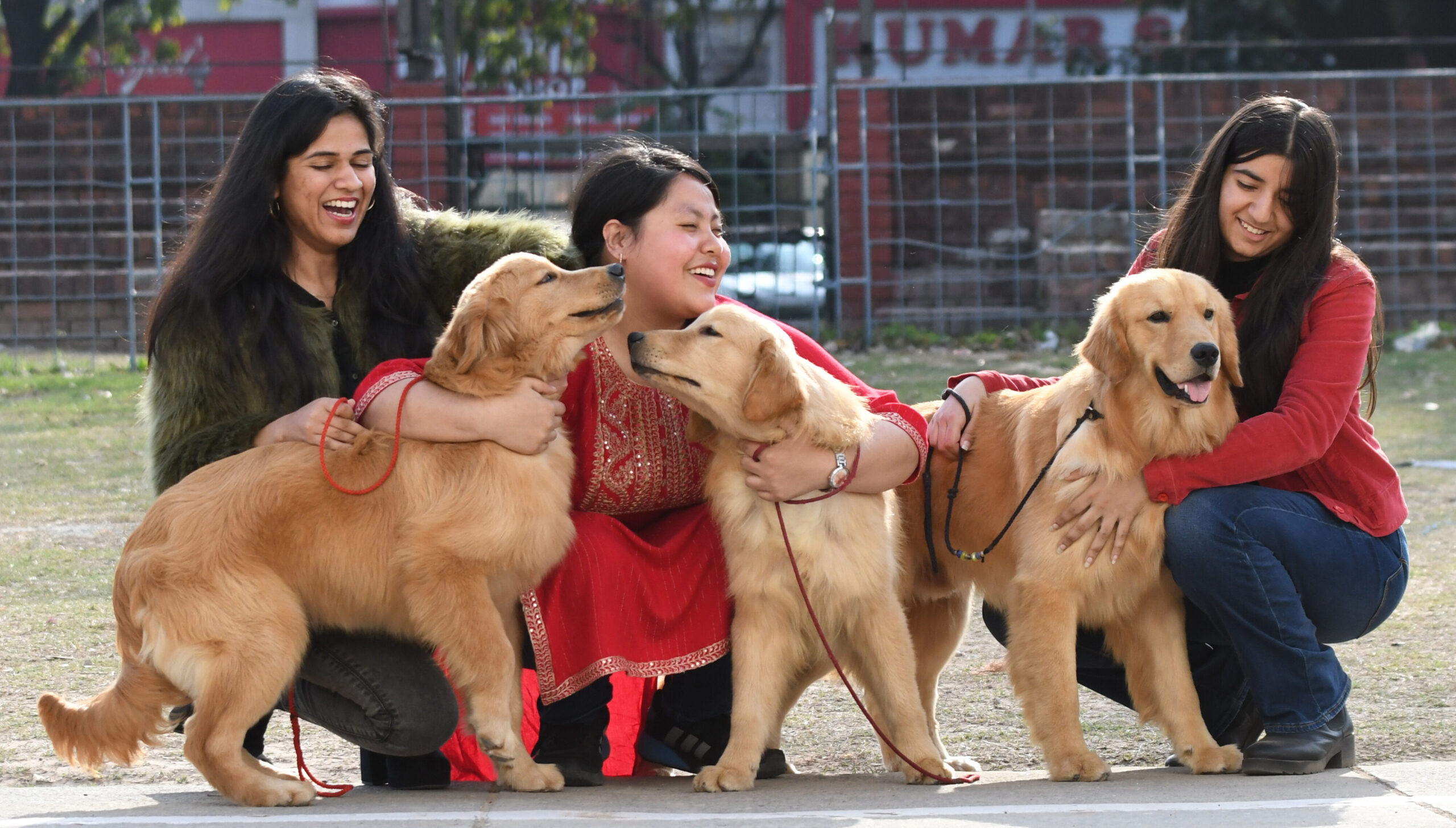 Panchkula MC makes pet dog registration mandatory