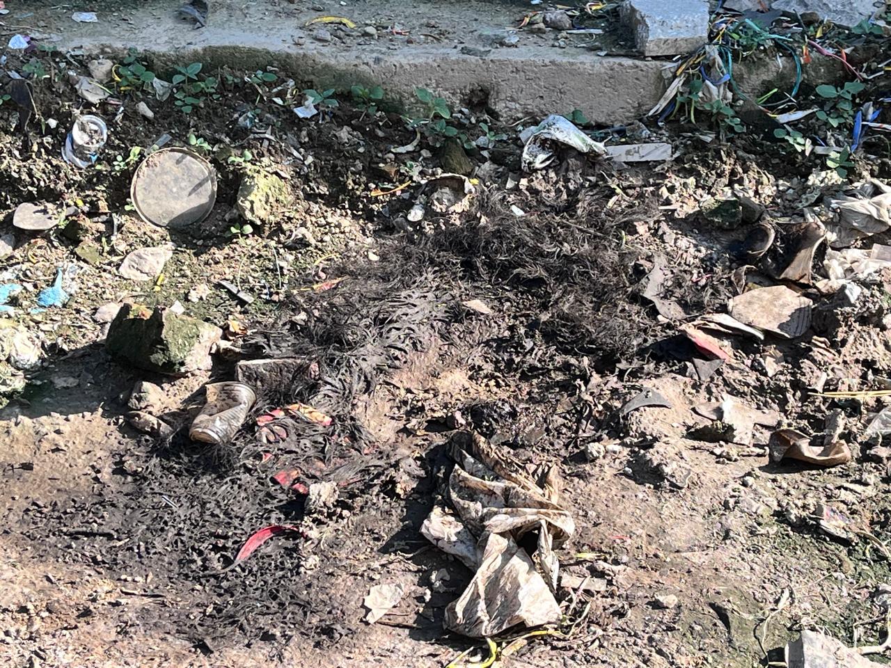 Activists allege animal cruelty, police deny foul play