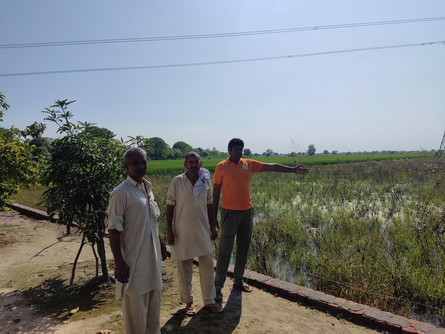 Fields flooded, but Rohtak residents face shortage of potable water